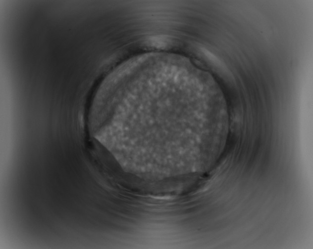 X0000092030500200710041104