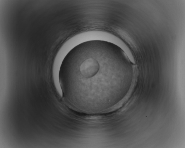 X0000092030501200710041104