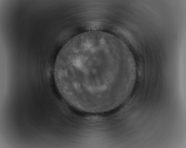 X0000092030503200710041104