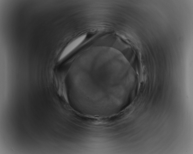 X0000092030504200710041104