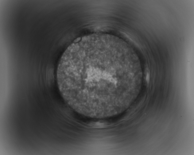 X0000092030506200710041104