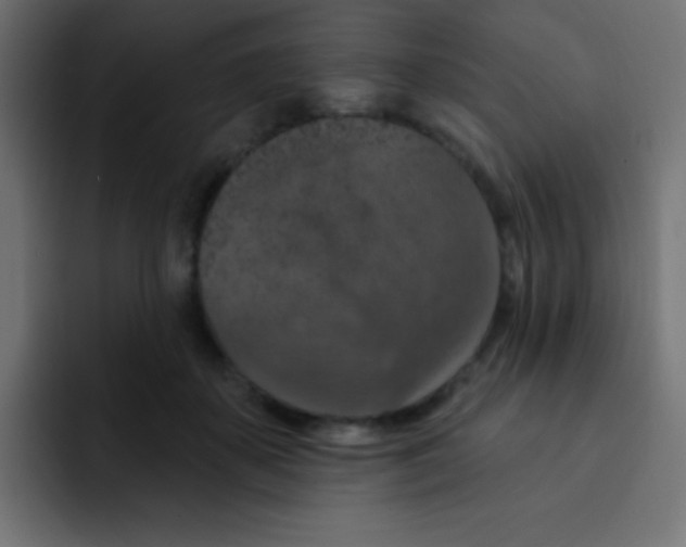 X0000092030507200710041104