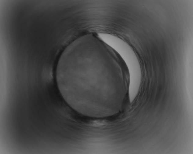 X0000092030508200710041104