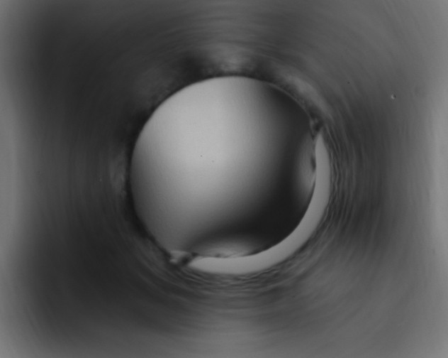 X0000092030509200710041104