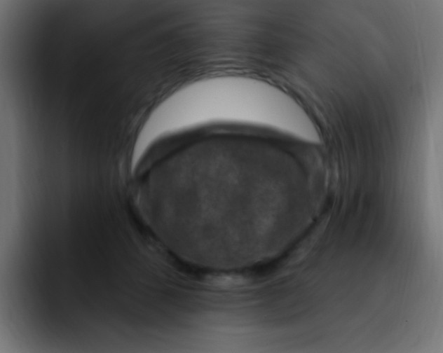 X0000092030512200710041104