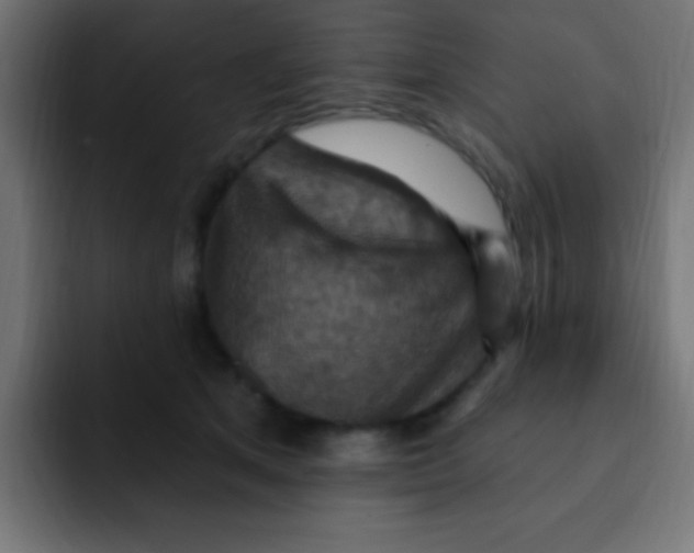 X0000092030513200710041104