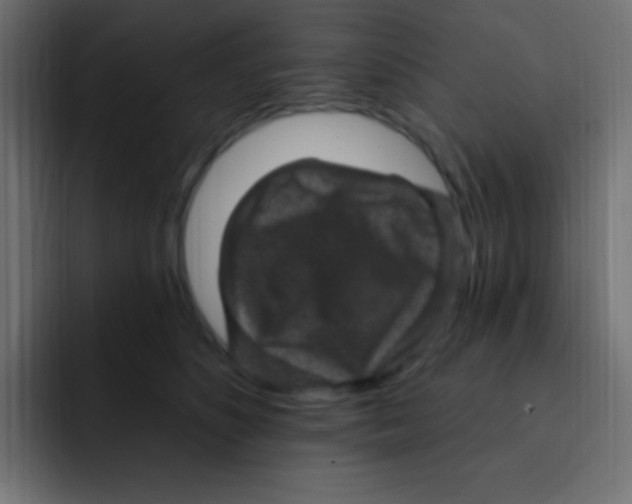 X0000092030516200710041104