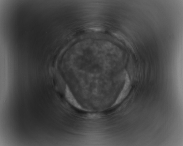 X0000092030520200710041104