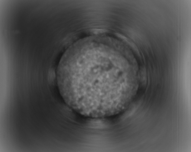 X0000092030523200710041103