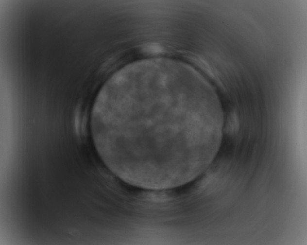 X0000092030524200710041103