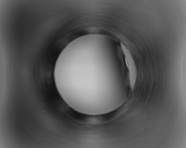 X0000092030525200710041103