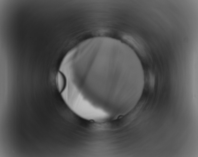 X0000092030526200710041103