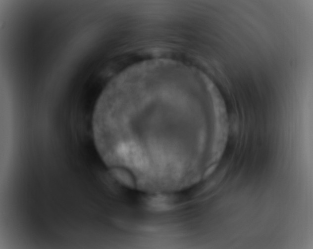 X0000092030527200710041103