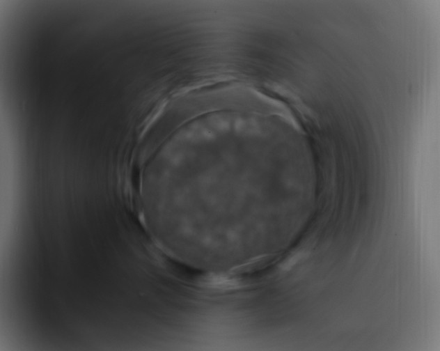 X0000092030528200710041103