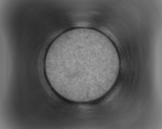 X0000092030529200710041103