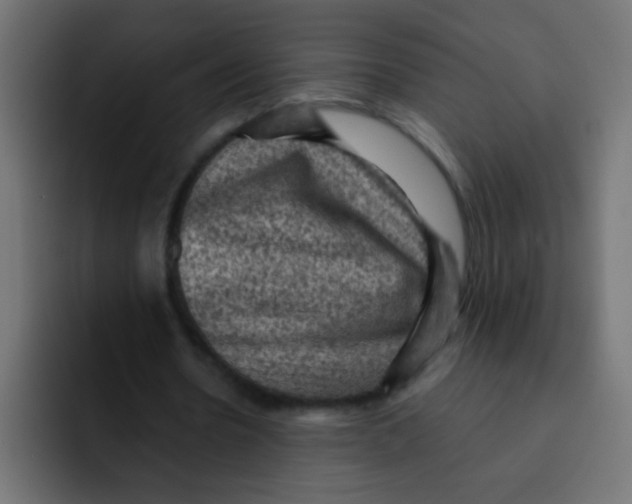 X0000092030530200710041103