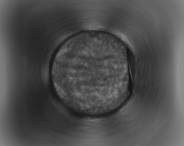 X0000092030531200710041103