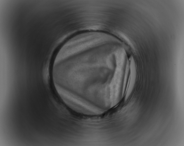 X0000092030532200710041103