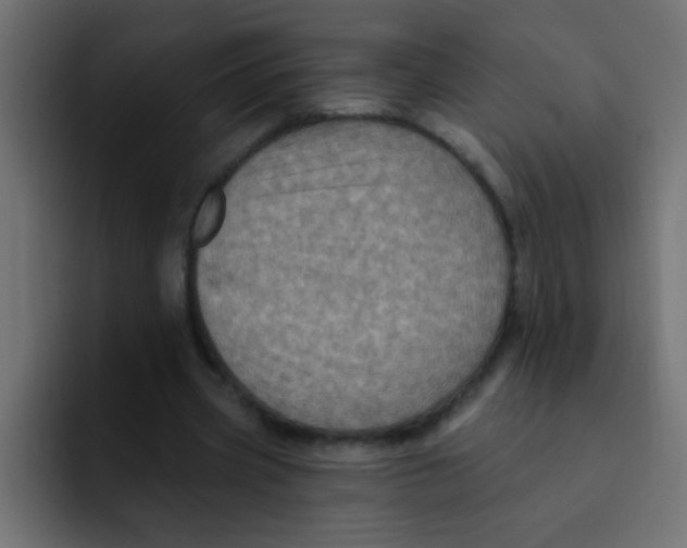 X0000092030533200710041103