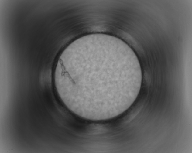 X0000092030534200710041103