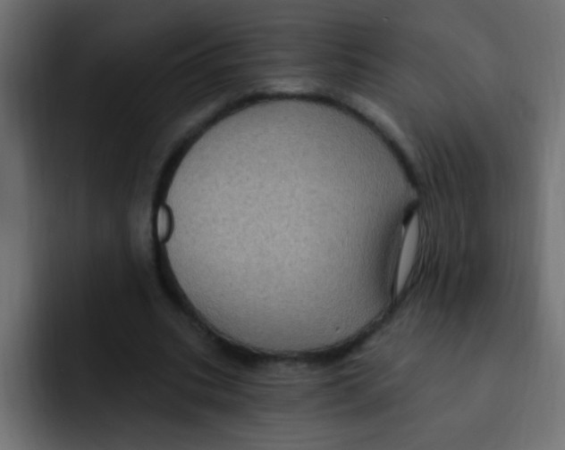 X0000092030535200710041103