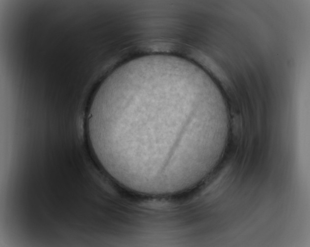 X0000092030537200710041103