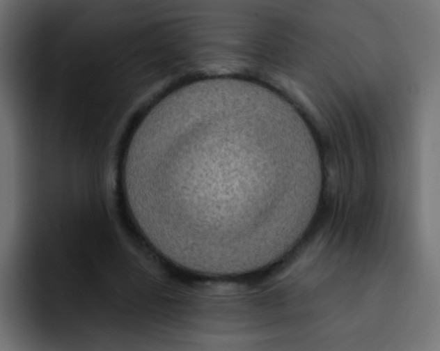 X0000092030539200710041103