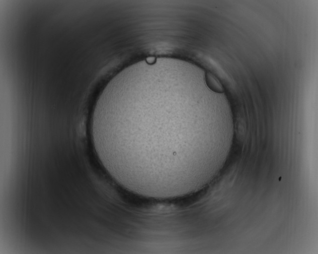 X0000092030543200710041103