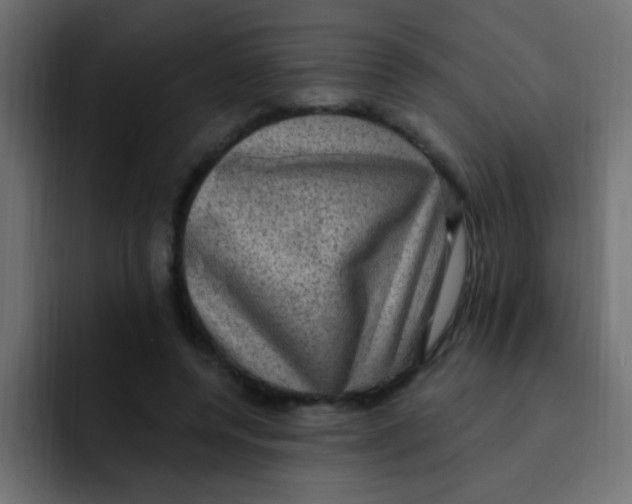 X0000092030544200710041103