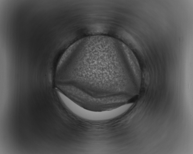 X0000092030546200710041103