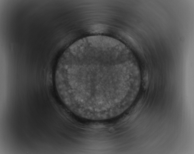 X0000092030547200710041103