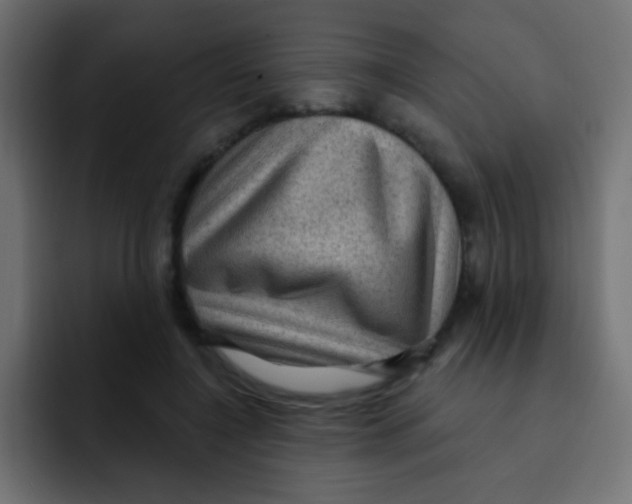 X0000092030548200710041103