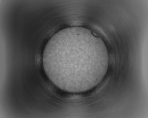 X0000092030549200710041103