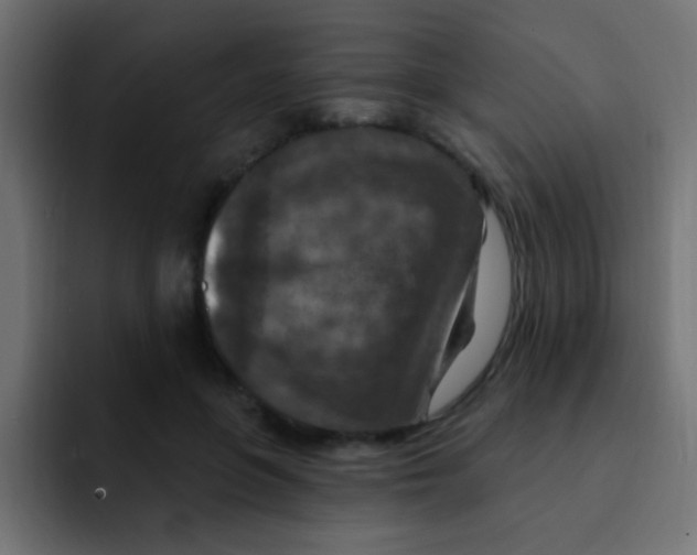 X0000092030551200710041103