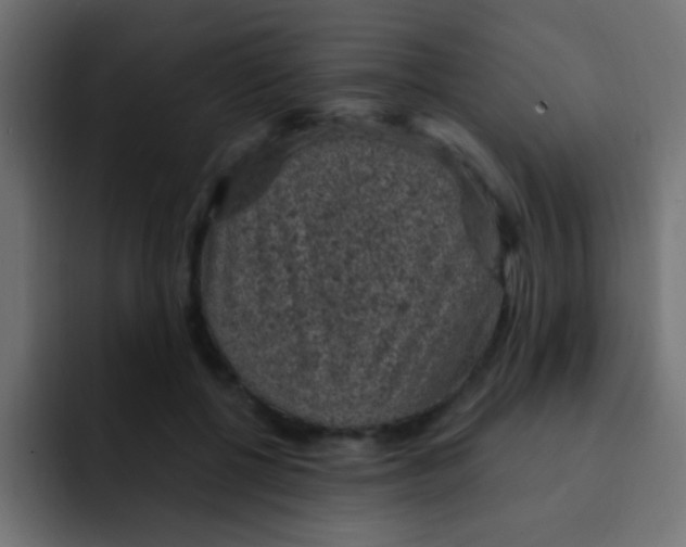 X0000092030552200710041103