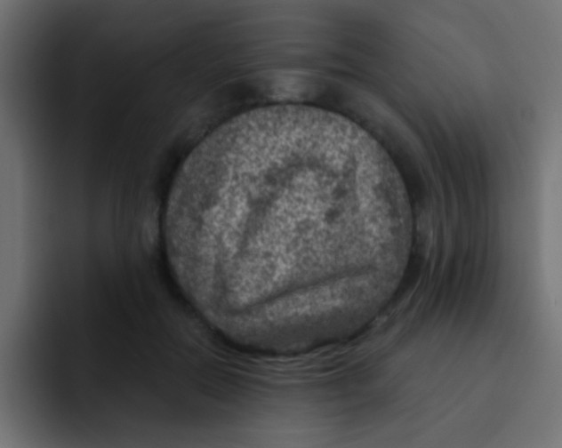 X0000092030554200710041103