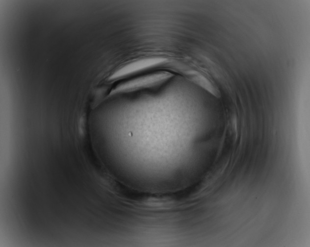 X0000092030556200710041103