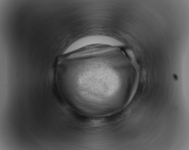 X0000092030560200710041103