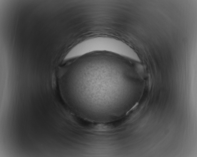 X0000092030562200710041103