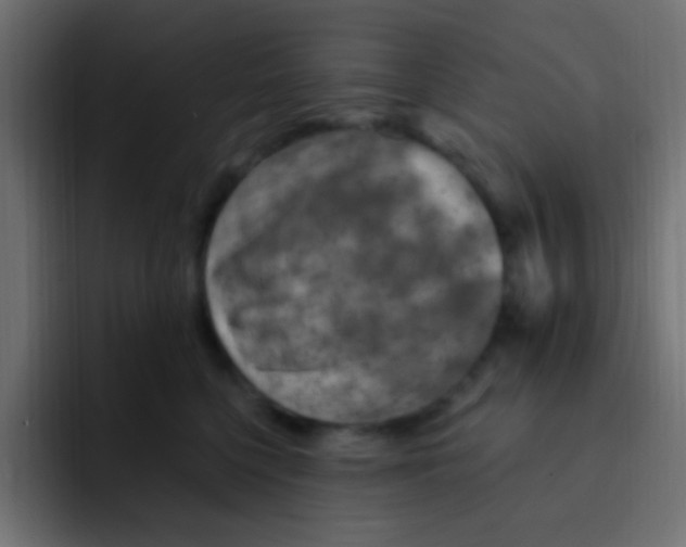 X0000092030568200710041103