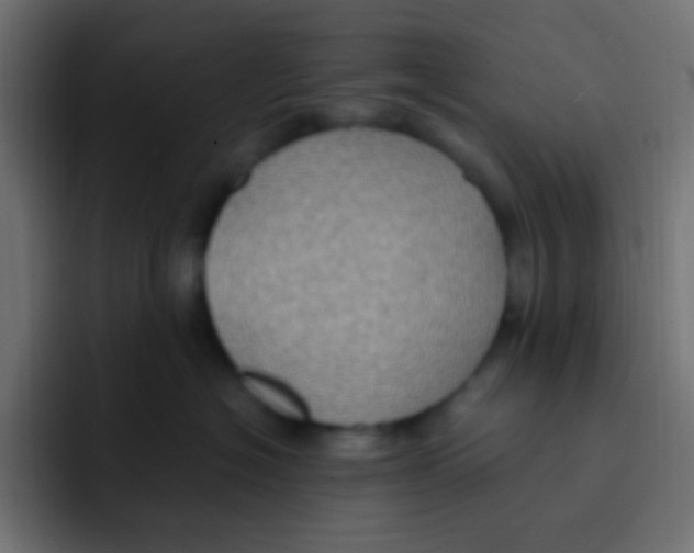 X0000092030574200710041103