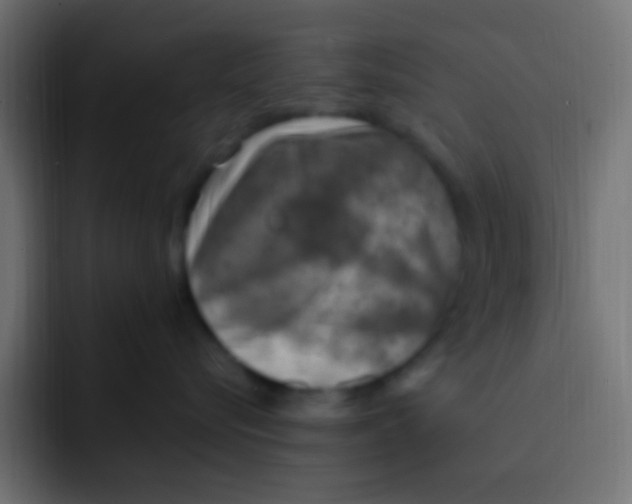 X0000092030576200710041103