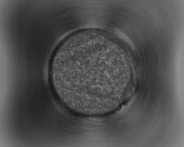 X0000092030580200710041103