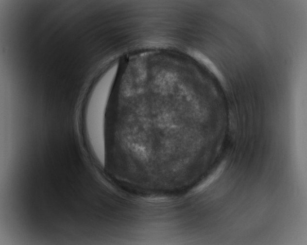 X0000092030581200710041103