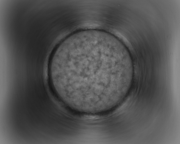 X0000092030582200710041103