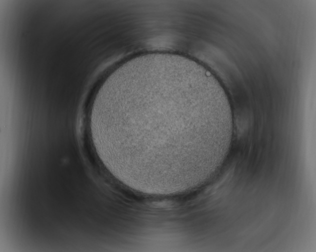 X0000092030583200710041103