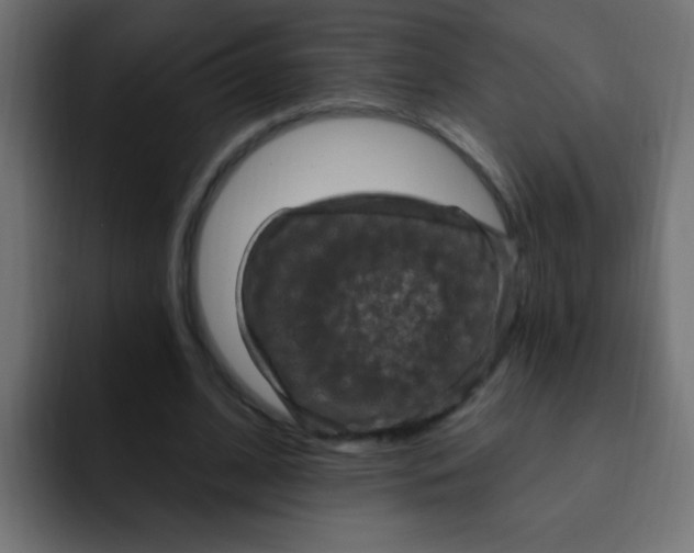 X0000092030584200710041103