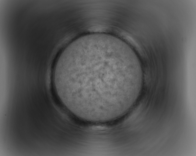 X0000092030586200710041103