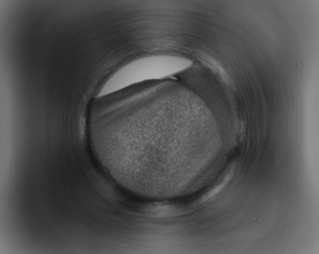 X0000092030589200710041103