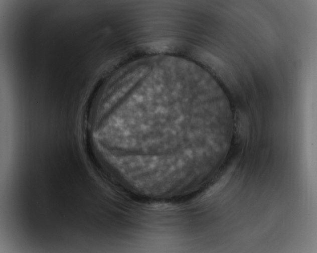 X0000092030590200710041103